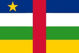 中非共和国 - 电子货物跟踪单(Central African Republic - CTN)