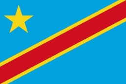 刚果金 - 电子货物跟踪单(DR . Congo - FERI)